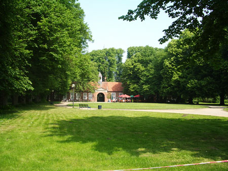 IMGP5337