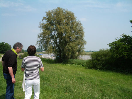 IMGP5369